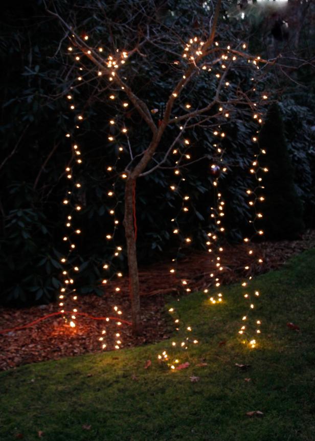 Best Outdoor String Lights In 2021, Best Outdoor Lighting For Trees