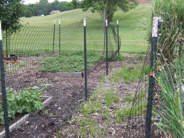 Double Deer Fence | HGTV