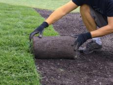 Sod can help stabilize a slope.