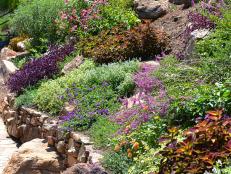 Landscaping a slope presents numerous challenges.