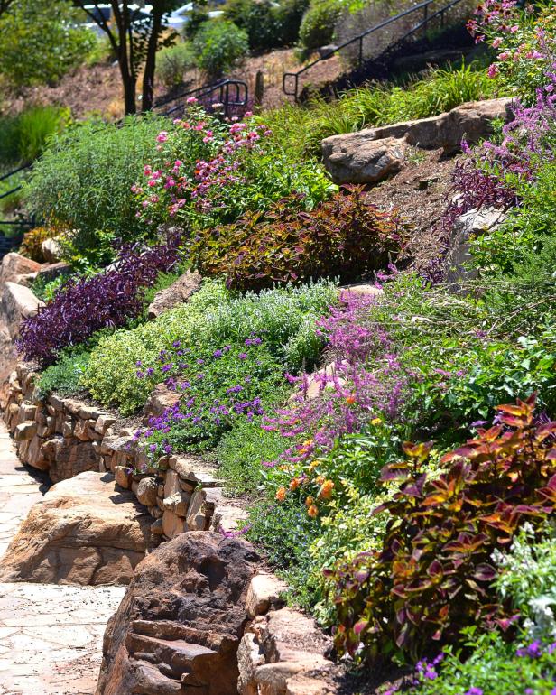 Planting Groundcover, Ground Cover Landscaping