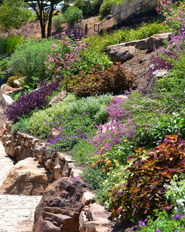 How to Landscape a Steep Slope on a Budget