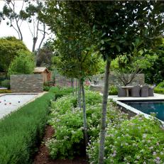 Sculpted Shrubbery and Flower Beds Divide the Swimming Pool and Bocce Court in a La Jolla Garden