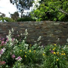 A Colored Stone Wall in this La Jolla Garden Divides Sculpted Shrubs From A Bed of Wildflowers