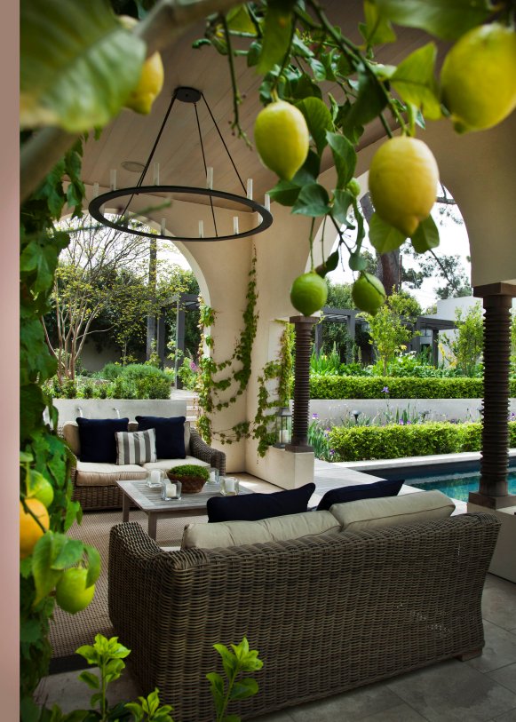 The branches of a lemon tree frame a garden courtyard terrace