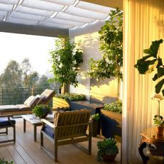 Small Balcony With Container Garden and Trees
