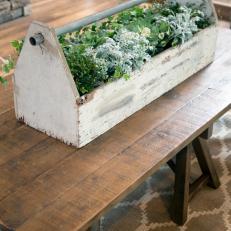 Greenery in Old Wooden Tool Box 
