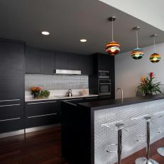 Sophisticated Contemporary Kitchen With Sleek Black Cabinets