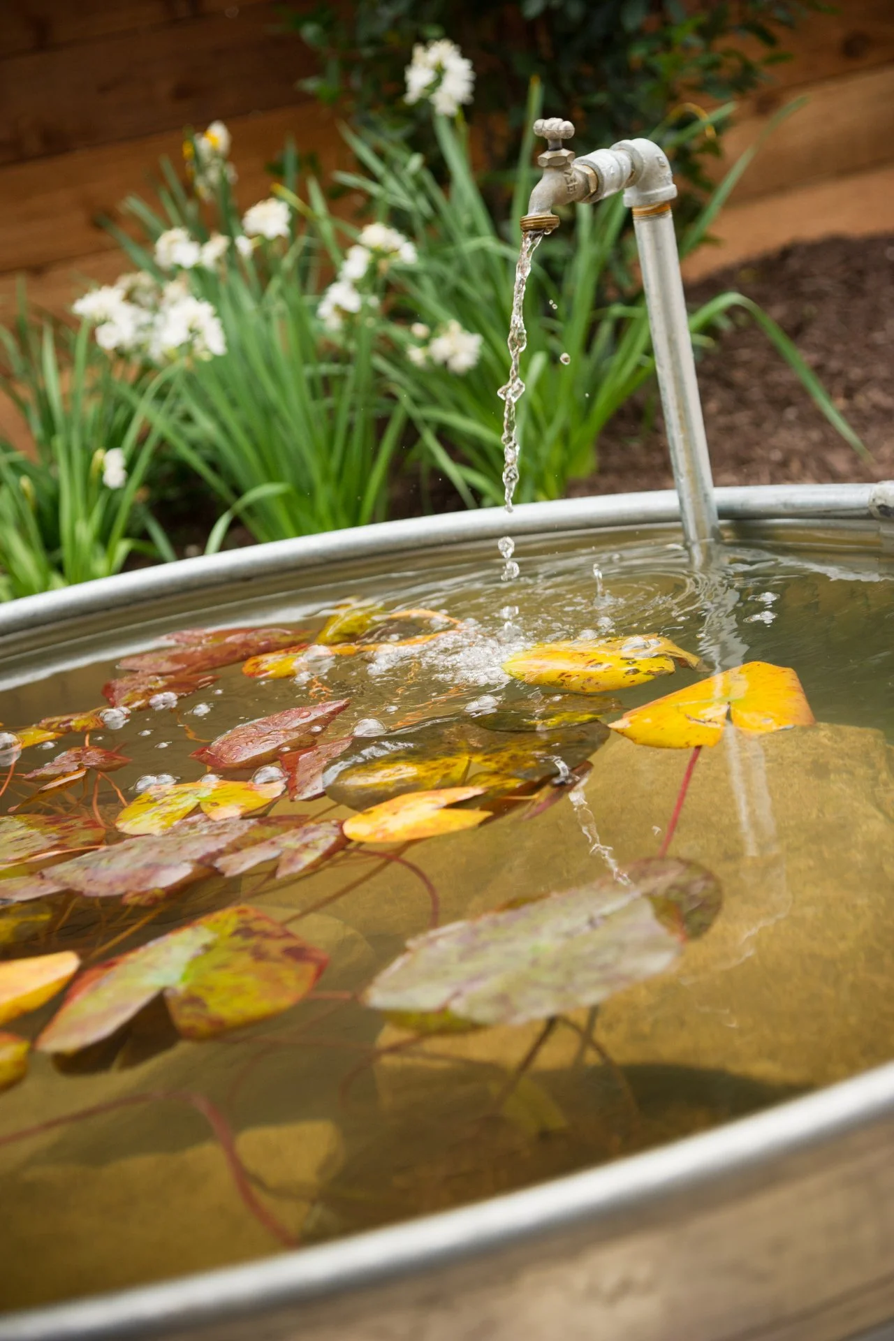 Water Features for Small Spaces | HGTV