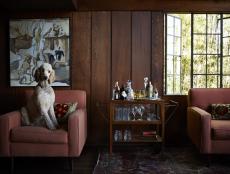 Wood-Paneled Room With Pink Armchairs, Bar Cart & Dog