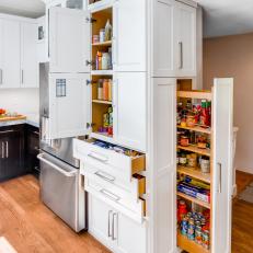 Contemporary Kitchen Storage and Pullout Pantry