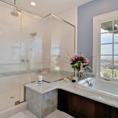 Blue and White Traditional Spa Bathroom With Glass Shower