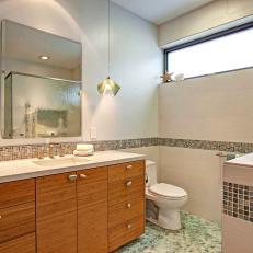 Contemporary Bathroom Features Mosaic Tile Accent Strip