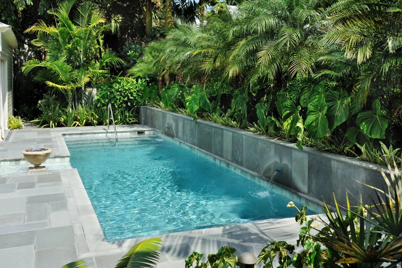 Outdoor Lap Swimming Pool Design Ideas | Lap pools for narrow yards
