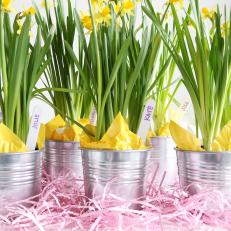 Daffodil Party Favors