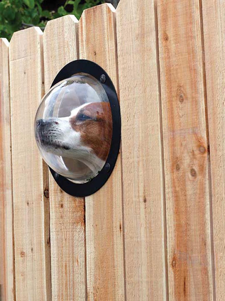 PetPeek Fence Window for Pets 