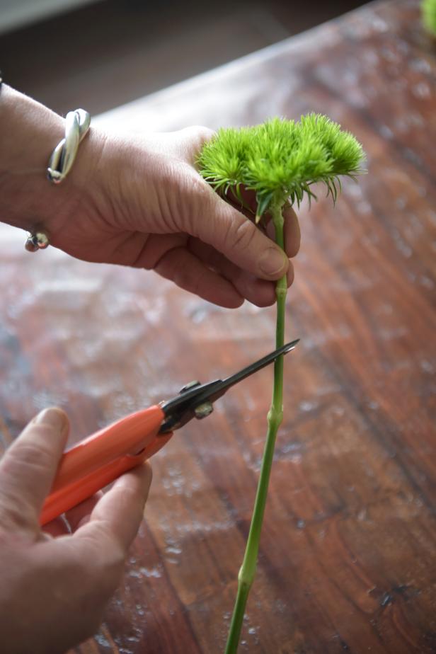 Cut the dianthus stems down so that they are two to three inches in length.