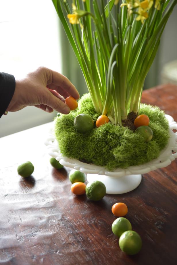 Layer in color and texture on top of the dianthus with a random placement of key limes and kumquats.