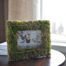 Creative Ways to Decorate With Moss