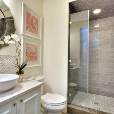 Tranquil Bathroom With Walk-In Shower & Vessel Sink
