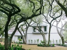 White House Among Trees