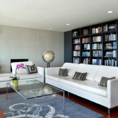 Sophisticated Contemporary Living Room With Wall of Built-Ins