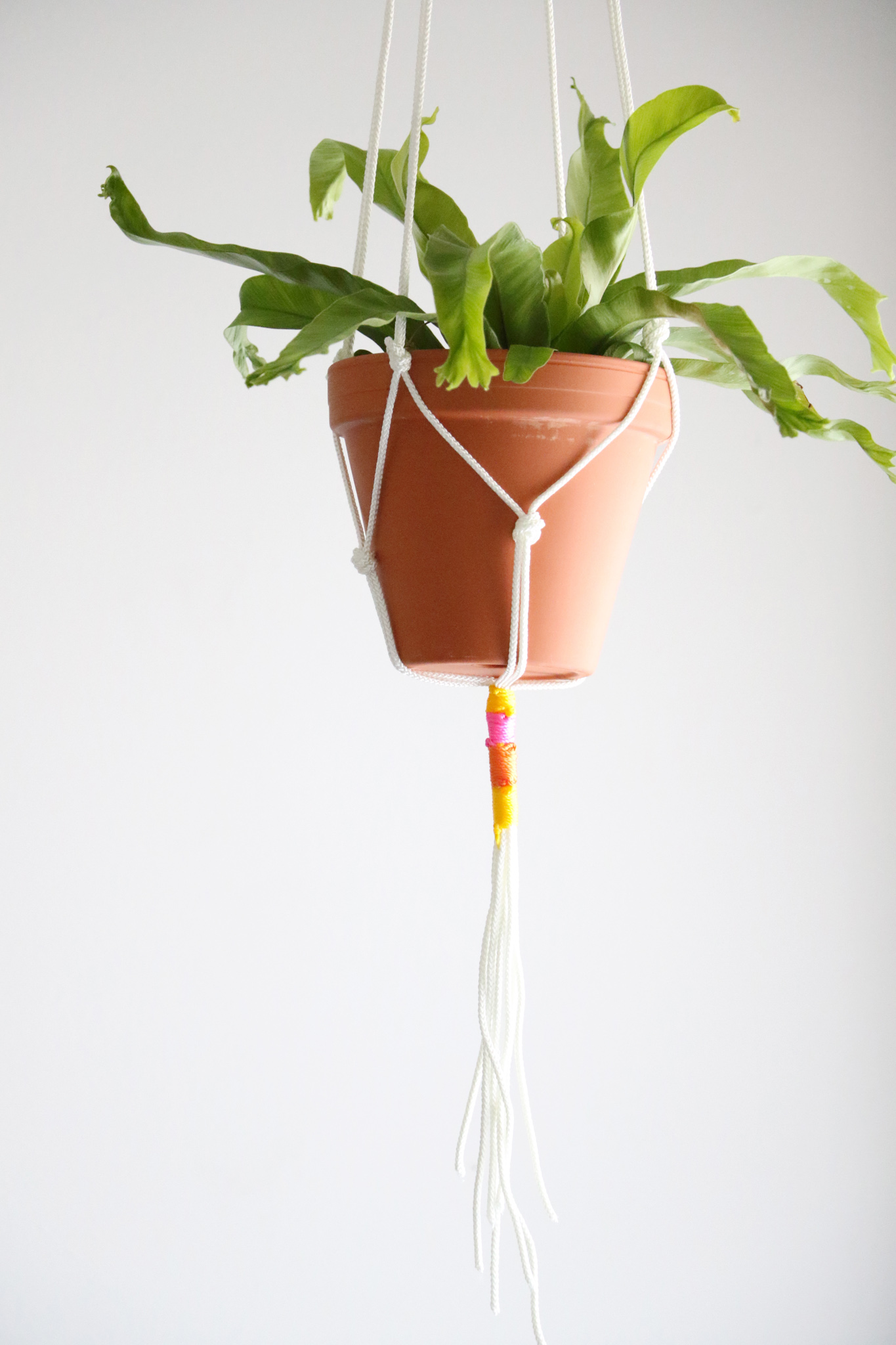 Simple Macrame plant hanger 