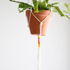 Macrame Plant Hanger