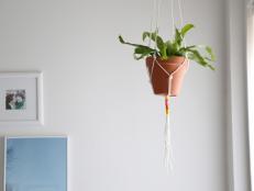 By using basic supplies from the hardware store, you can make this easy DIY macrame hanger to display your favorite houseplant. This project can be adjusted to fit any planter, and since the rope is polyester, you can also hang this project outdoors.