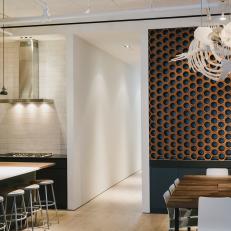 Modern Kitchen With Wall Wine Rack and Shark Skelton Decor