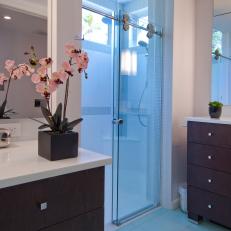 Sliding Glass Shower Door in Contemporary Bathroom