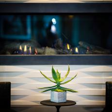 Gas Fireplace and Houseplant