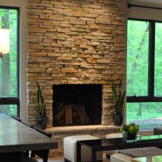 Neutral Stone Fireplace and Houseplants