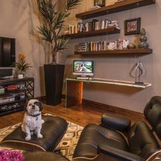 Neutral Contemporary Living Room With Dog