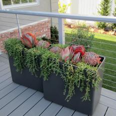 Rectangular Planters on Contemporary Porch