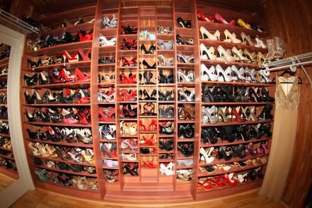 Amazing Shoe Closet