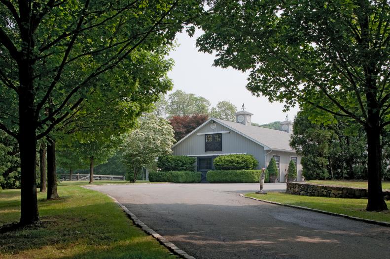 Driveway Lined With Trees Leading to Country Home
