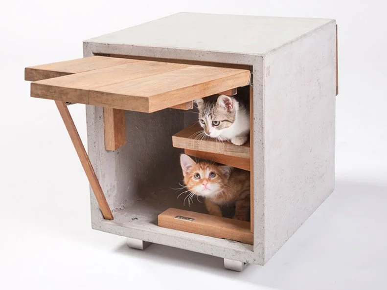 Concrete Cat Condo by Standard Architecture Design