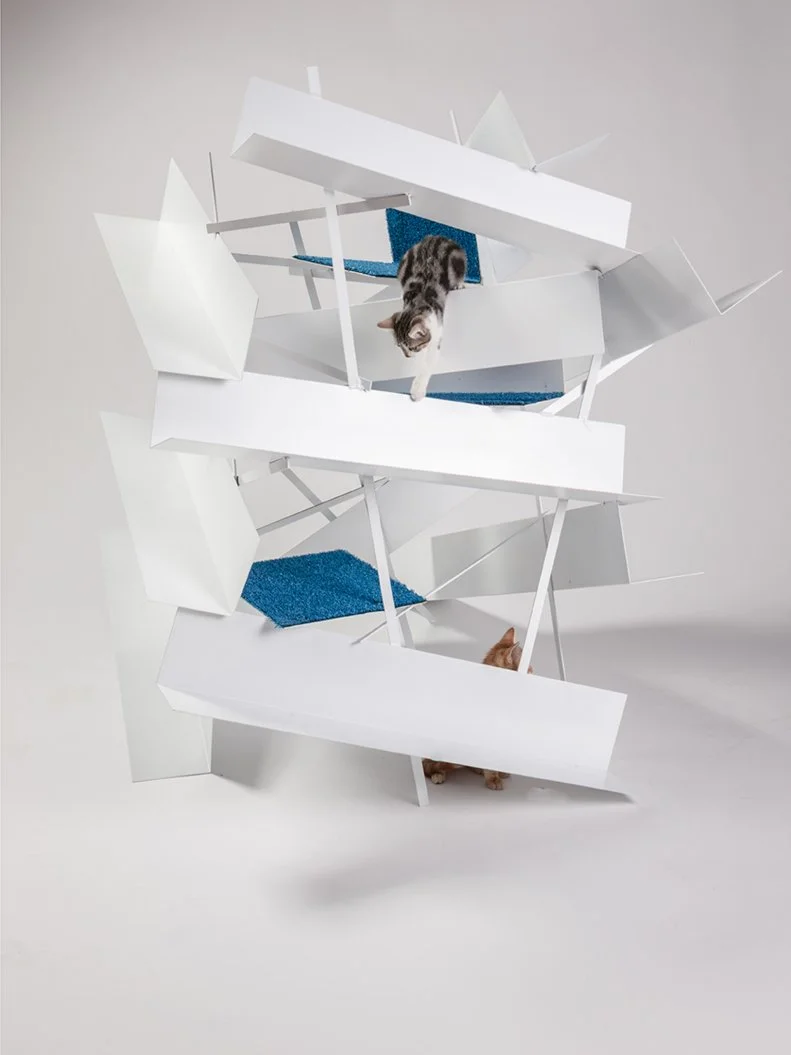 Designs for Felines: Architectural Cat Structure by Lehrer Architects