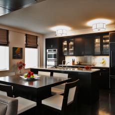 Contemporary Kitchen With Sleek Black Cabinets