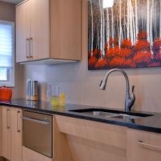 ADA-Compliant Kitchen With Sleek, Light Cabinets