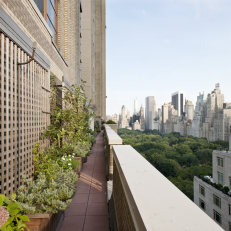 Contemporary New York City Balcony With Pretty Flowers and Plants