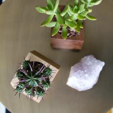 Add Greenery to Small Spaces