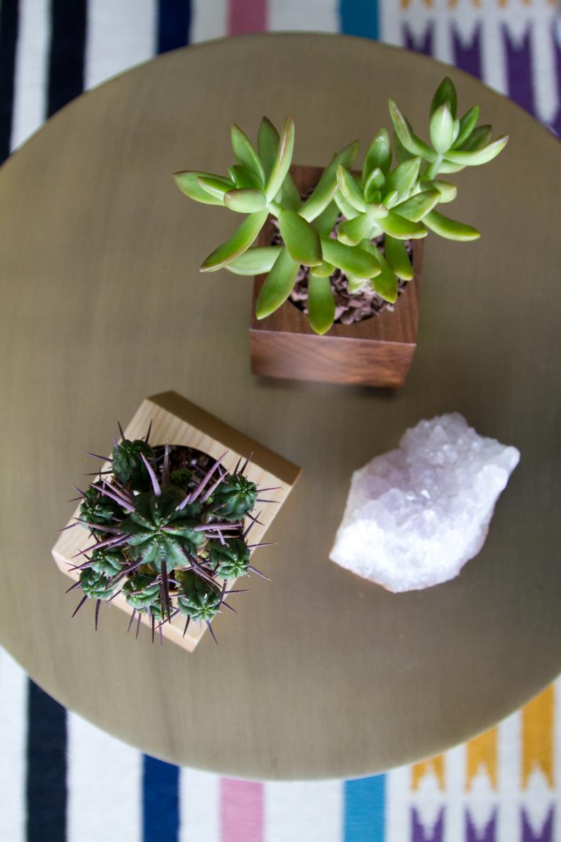 Aerial View of Succulent and Cactus on Small Coffee Table