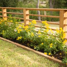 Natural Wood Fence Trimmed by Yellow Flowers