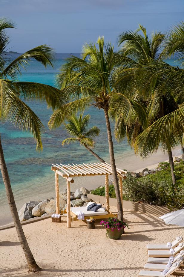 Oceanside Hanging Canopy Bed With Palm Tree Landscape | HGTV