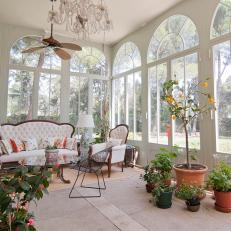 Conservatory: Historic Mansion in Madrid, Spain