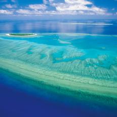 Coral Reef Overview: Open Plan Villa on East Bedarra Island, Australia