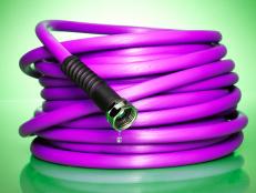 purple garden hose