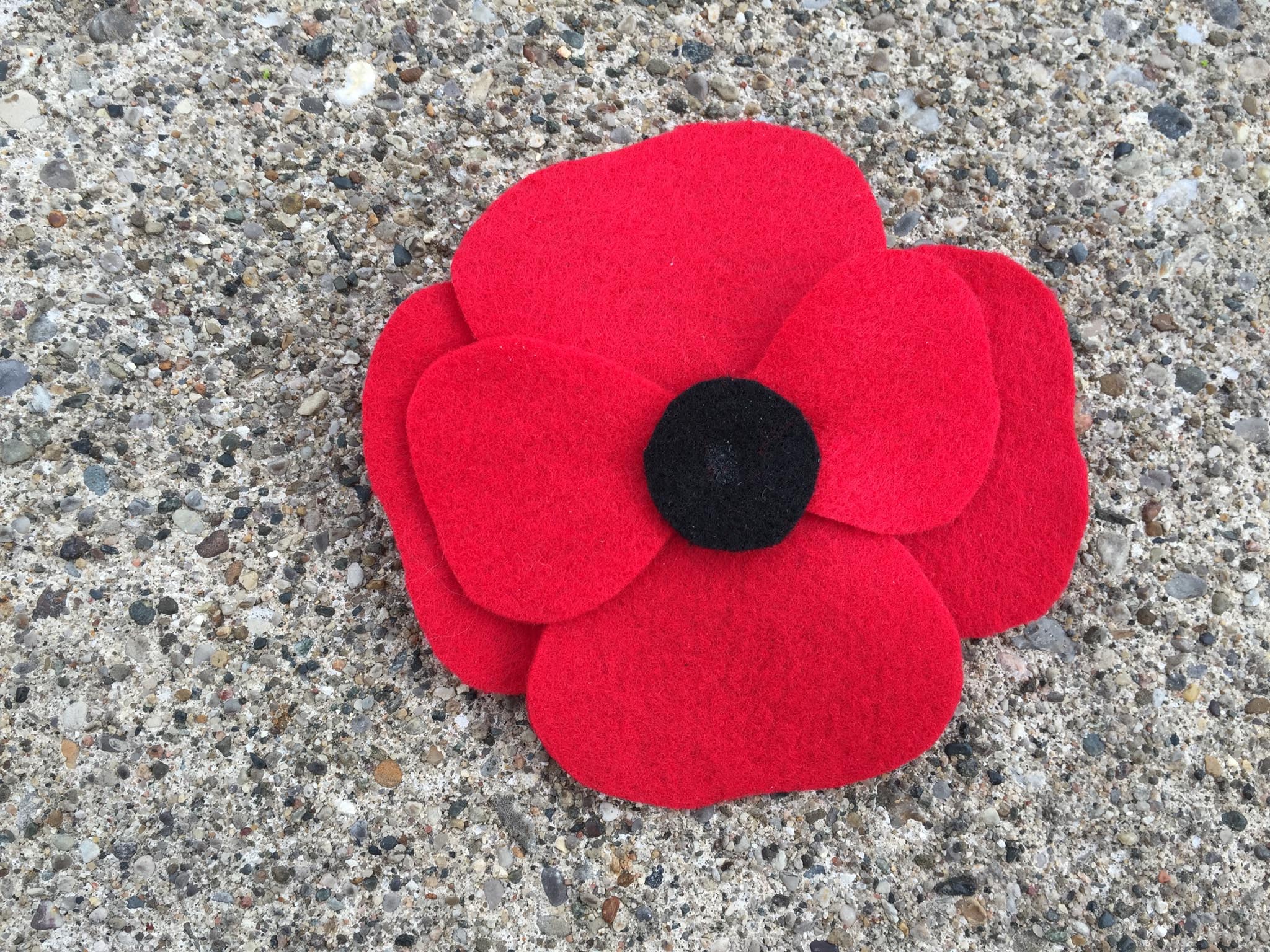 remembrance poppy fabric